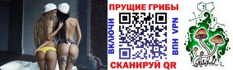 Галлюциногенные грибы прущие грибы Райчихинск