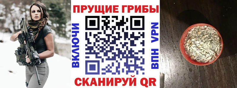 Псилоцибиновые грибы GOLDEN TEACHER  Купить  Райчихинск 